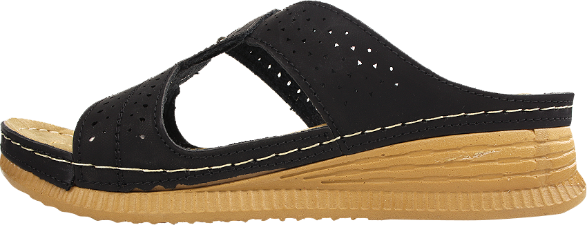 خرید آنلاین دمپایی زنانه پاریز مدل آیلار کد 01